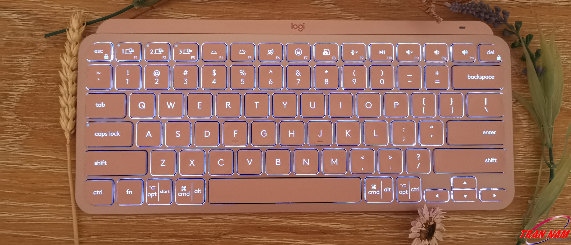 Bàn phím không dây Mini Logitech MX Keys Rose (USBC/Bluetooth/Hồng) 11 Bàn Phím Mini Không Dây Cho Mac Logitech MX Keys