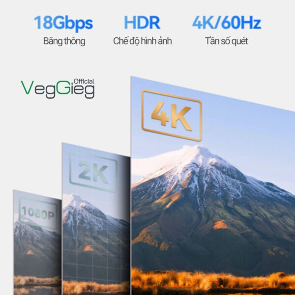 Cáp HDMI 2.0 Veggieg Hỗ Trợ 4K 3D