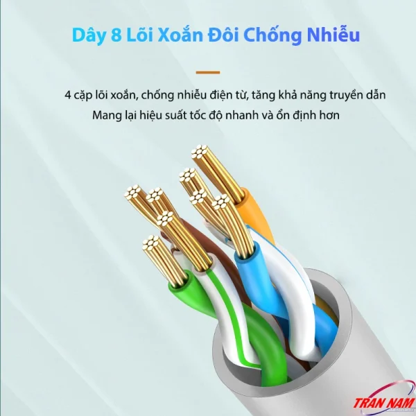 Cấu tạo dây 8 lõi xoắn đôi chống nhiễu của cáp mạng Cat5E Jasoz E120, hỗ trợ Gigabit 1000Mbps, truyền tải ổn định. Áp dụng cho toàn bộ SKU Jasoz T-E213 đến T-E223 (0.5m–30m).